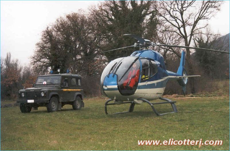 elifoto (24)